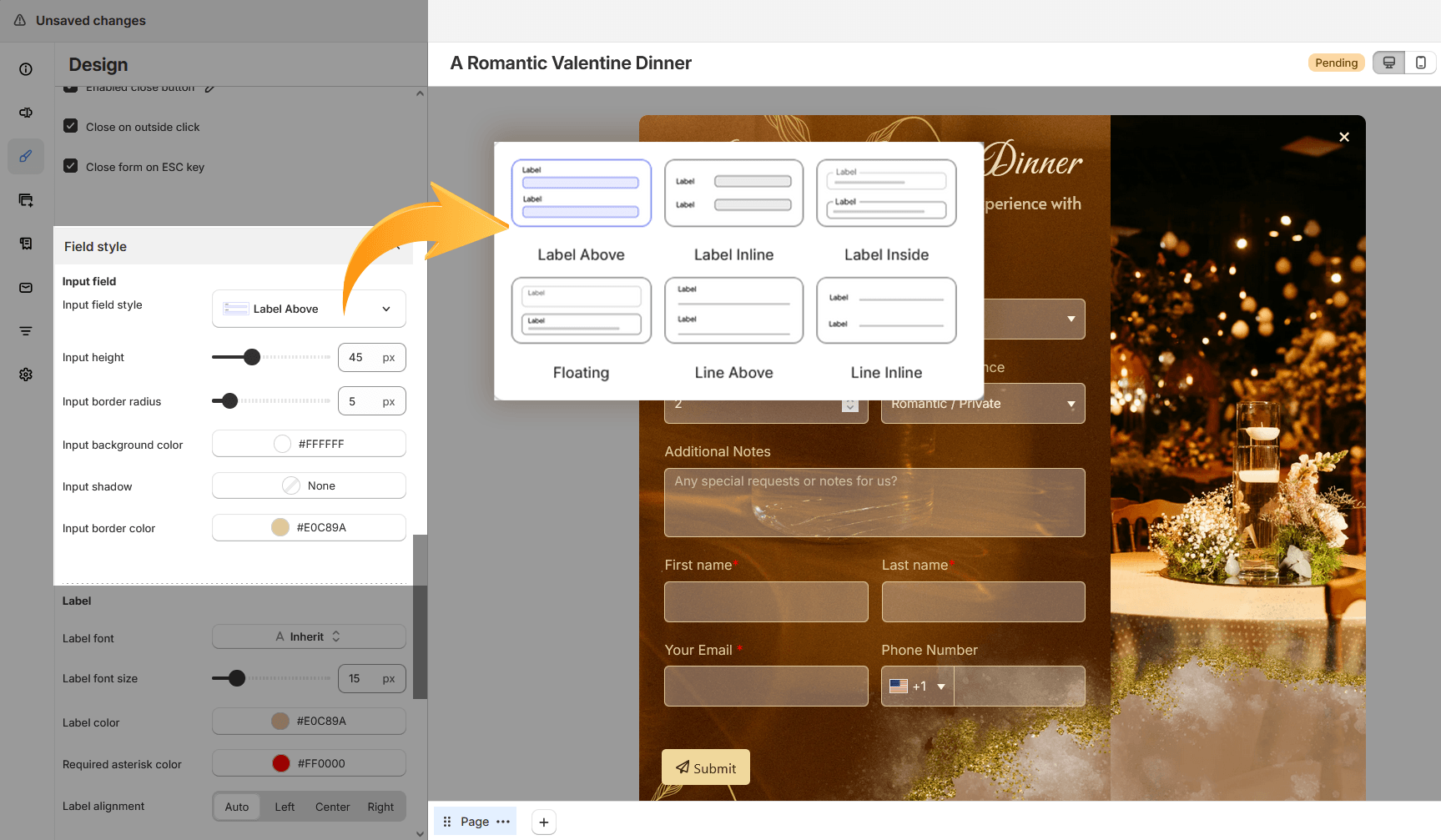 Input field style options