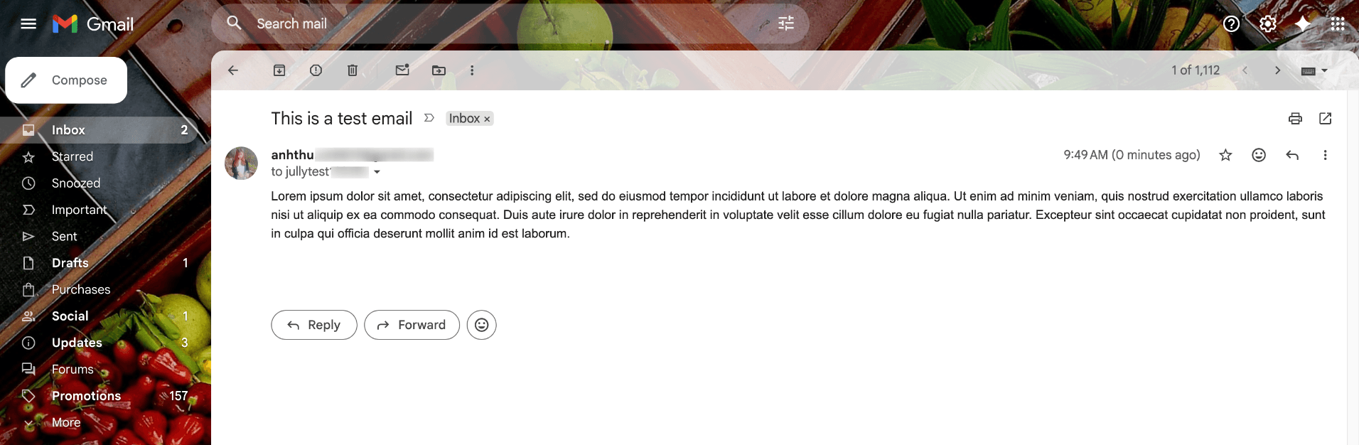 Confirm test Gmail delivery