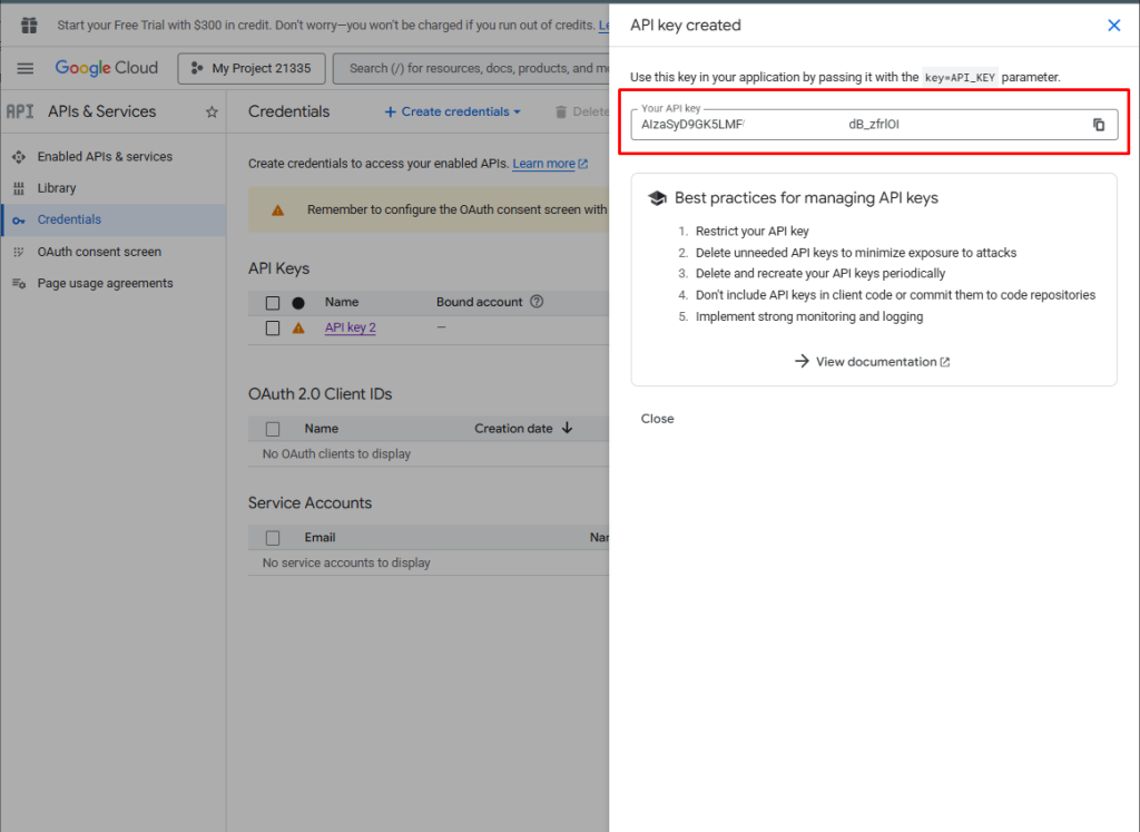 Copy restricted Google Cloud API key