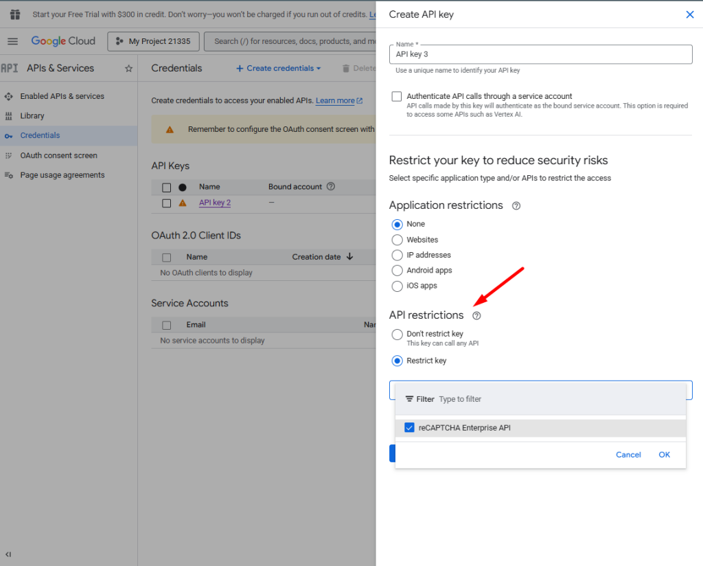 Restrict API key to reCAPTCHA Enterprise