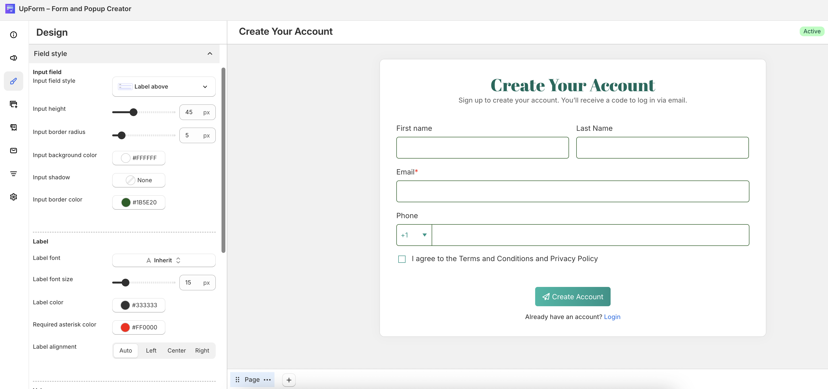 Input field style options