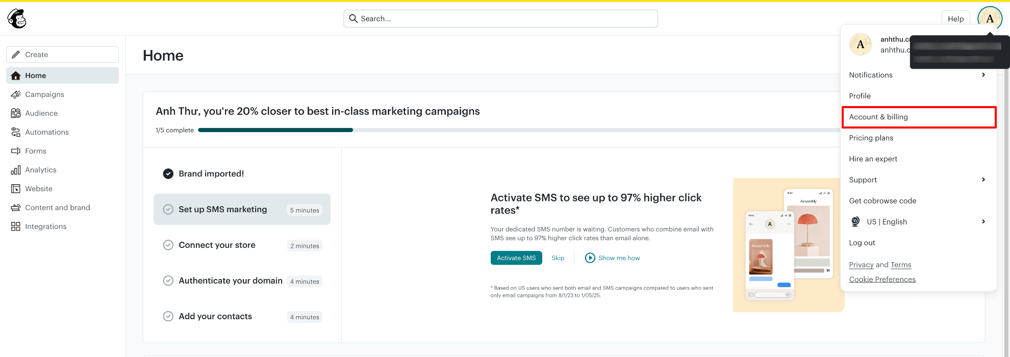 Mailchimp Account and billing menu