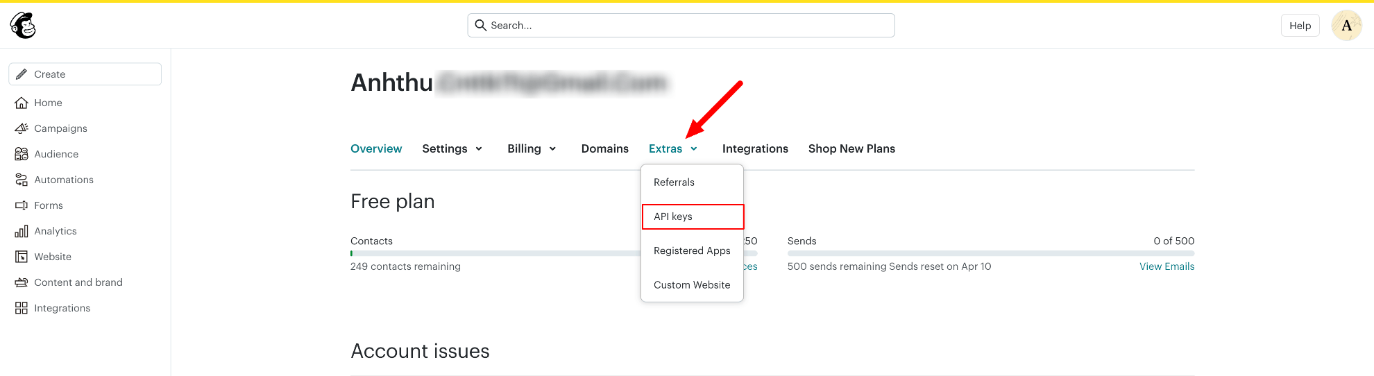 Mailchimp Extras API keys page
