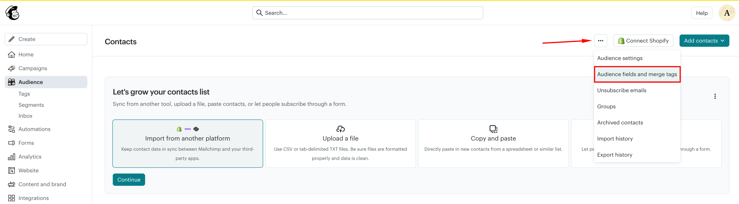 Mailchimp audience fields and merge tags