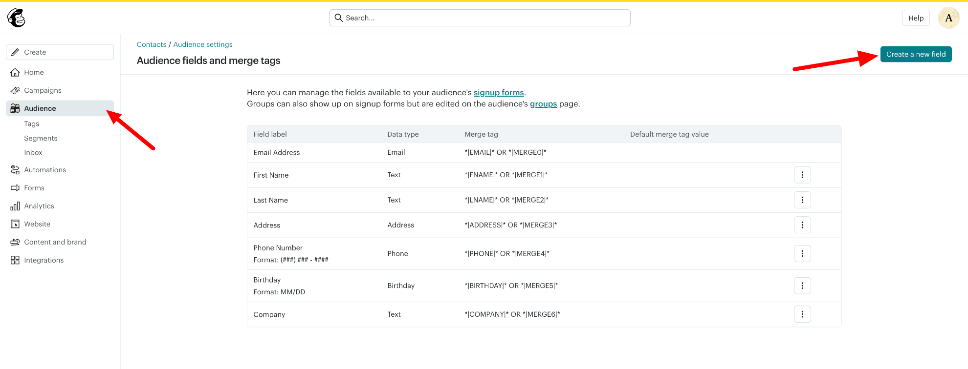 Create new Mailchimp audience field